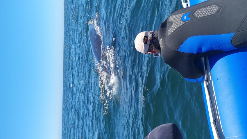 Expert-Tours , Südafrika und die Welt!, Südafrika