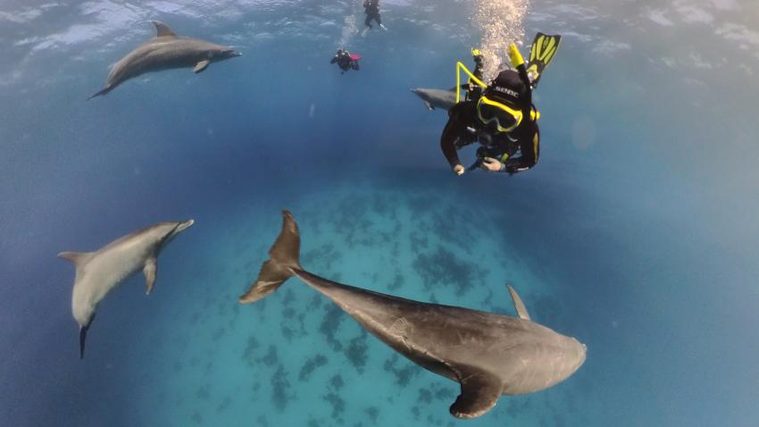 James & Mac, Hurghada, Ägypten, Hurghada