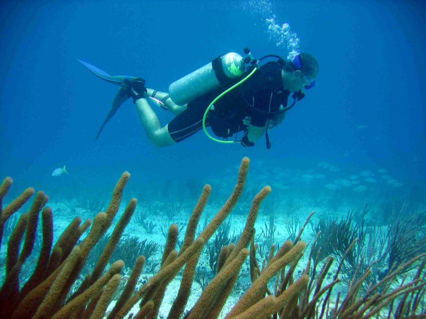 Playa del Carmen, Playa del Carmen,Mexiko