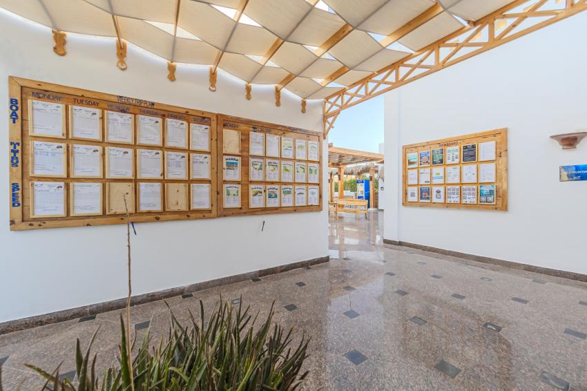 Scuba World Divers, Sol Y Mar Reef Marsa, Marsa Alam/Port Ghalib, Ägypten, El Quseir bis Port Ghalib