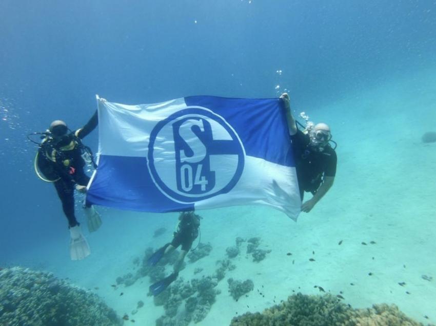Schalke Unterwasser, Deep Ocean Blue Diving Center, Ägypten, El Quseir bis Port Ghalib