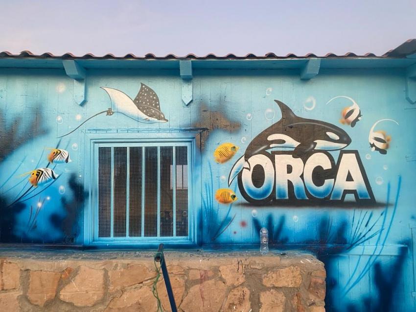 ORCA Dive Club Safaga Amarina Resort, Ägypten, Safaga