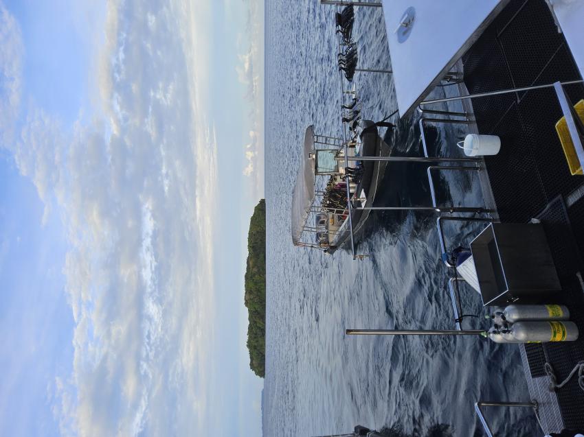 MY Black Pearl, Palau