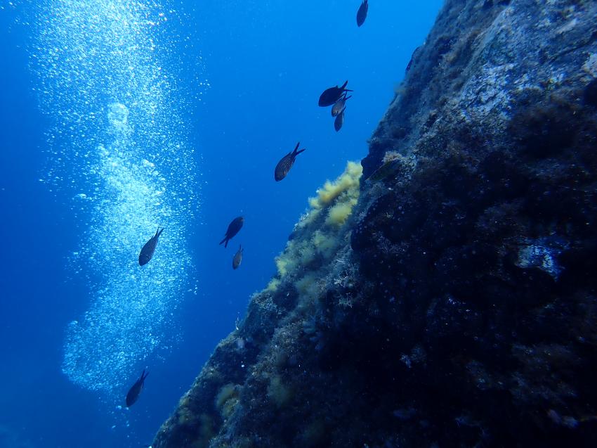 Dolphin Diving Center, Kalamitsi, Griechenland