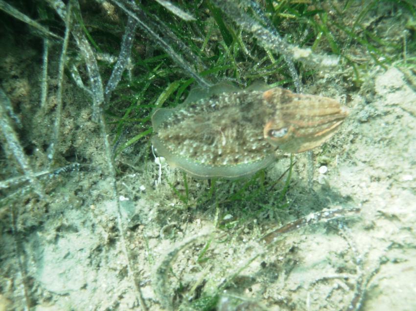 Halkidiki - Athos, Halkidiki - Athos,Griechenland