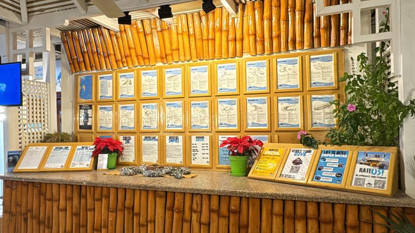 ORCA Dive Club Safaga Amarina Resort, Ägypten, Safaga