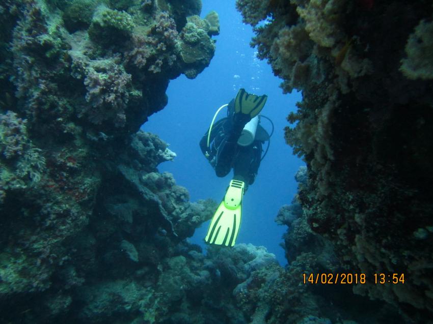 diving.DE Flamenco, Ägypten, El Quseir bis Port Ghalib