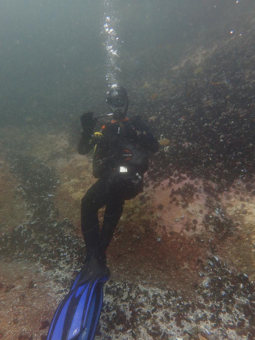 Entspannt!, Cape Town Dive Centre, Glencairn, Südafrika