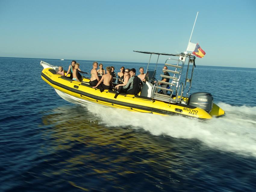 Skualo Cala Ratjada Speedboot, tauchen cala ratjada, Skualo Dive Center, Cala Ratjada, Mallorca, Spanien, Balearen