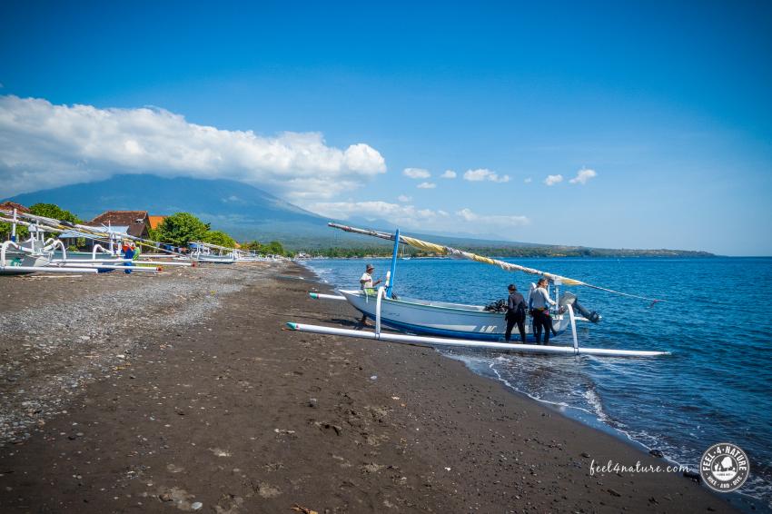 No Fear Diving, Amed, Indonesien, Bali