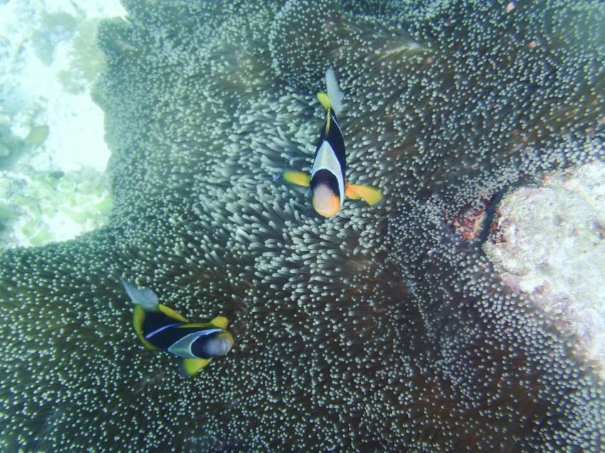 Fun Divers Zanzibar, Nungwi, Tansania