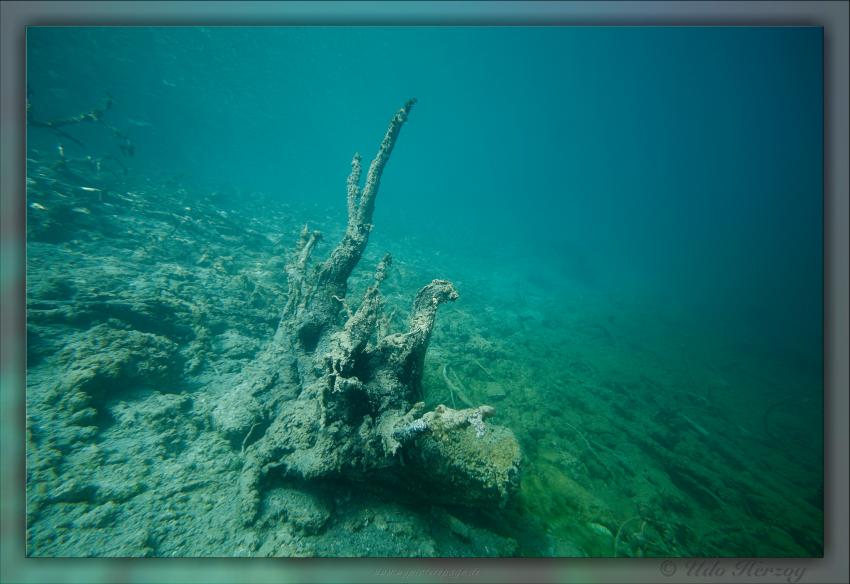 Blindsee - Steilwand, Bäume, Fische, Taucher, Blindsee,Lermoos,Österreich