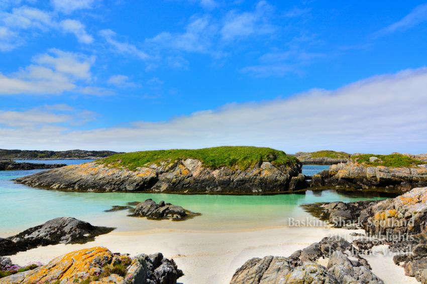 Schottland bei Sonnenschein, Scotland, Basking shark Scotland, Cairns, Lagune, Basking Shark Scotland, Oban, Großbritannien, Schottland