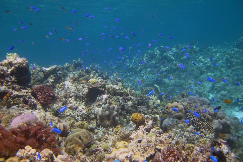 Pulau Satonda, Pulau Satonda,Indonesien