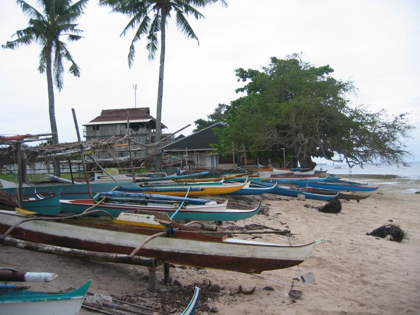 Moalboal, Moalboal & Malapascua,Philippinen,Fischerboote,Strand,Auslegerboote