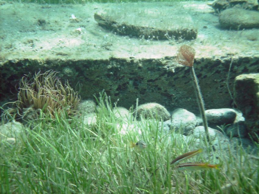 Halkidiki - Athos, Halkidiki - Athos,Griechenland