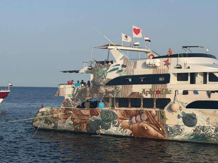 Aussenansicht, M/Y Aphrodite, Ägypten, Hurghada