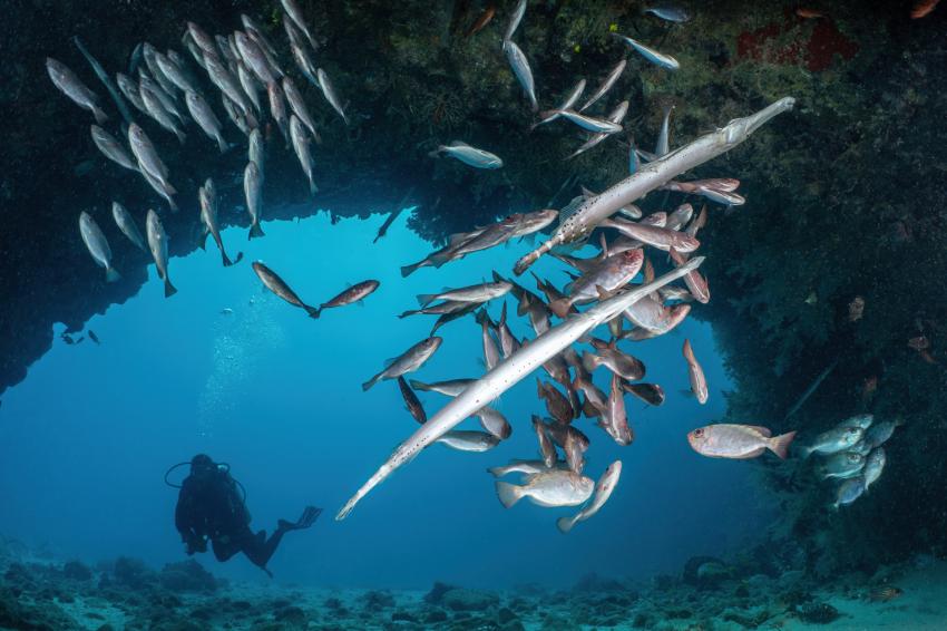Eco Dive School Cabo Verde, Sal, Kap Verde