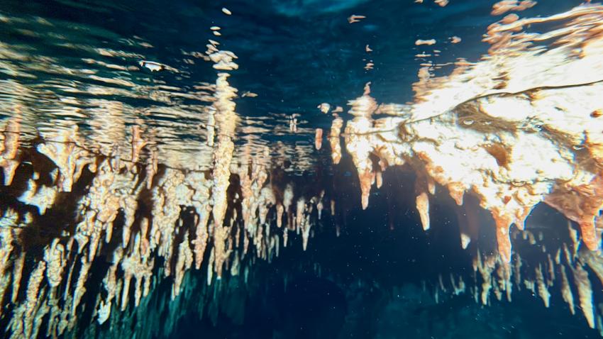 Yucatek Divers, Playa del Carmen, Mexiko