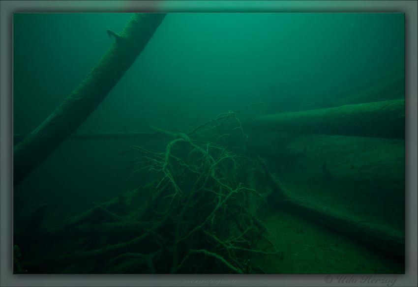 Blindsee - Steilwand, Bäume, Fische, Taucher, Blindsee,Lermoos,Österreich