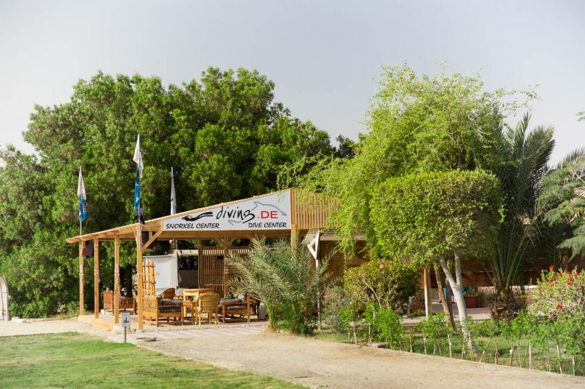 Die Tauchbasis lädt mit Kaffee und Tee unterm Pavillon zum gemütlichen Verweilen ein, diving.DE Flamenco, Ägypten, El Quseir bis Port Ghalib