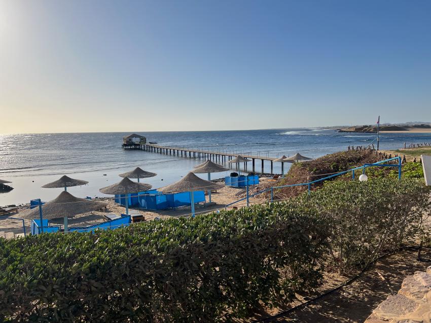 Ducks Diving Quesier at Rohanou Beach Resort, Ägypten, El Quseir bis Port Ghalib