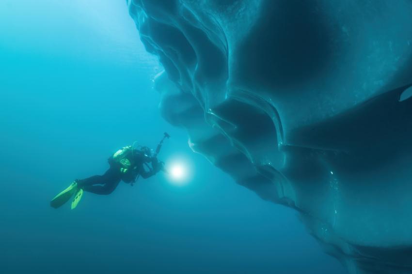 Eisbergtauchen, Northern Explorers, Ostküste, Grönland