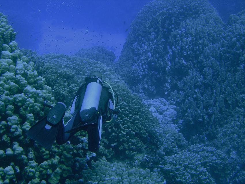 Brayka Bay, Brayka Bay,Ägypten