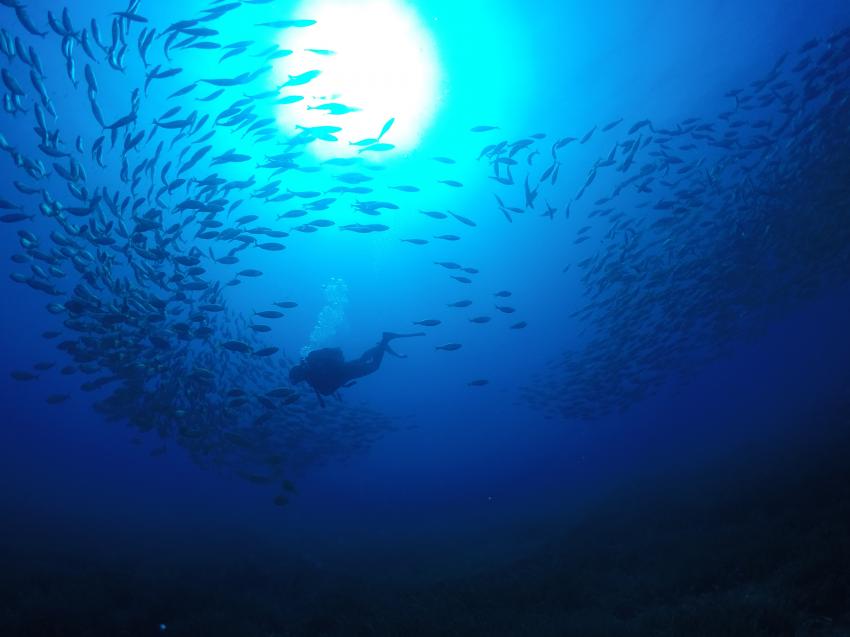 Cala Pada Diving Center Ibiza, Spanien, Balearen