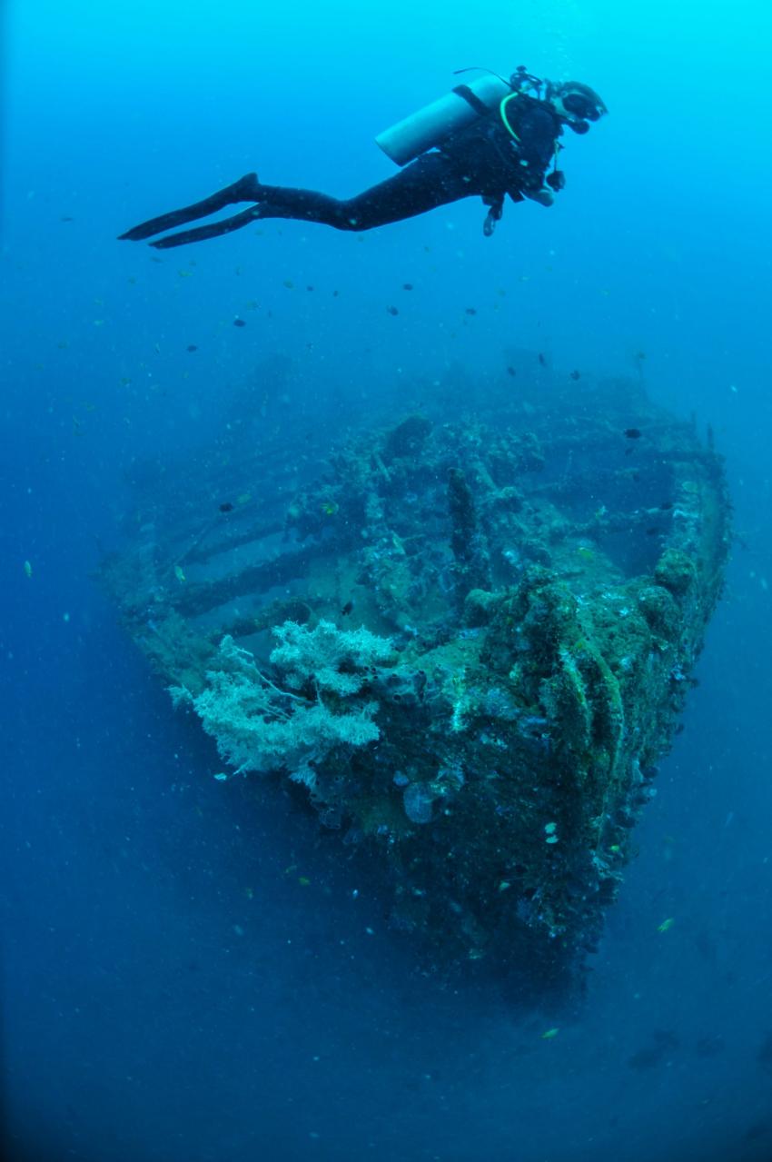 Molas Schiffswrack, Thalassa Dive Resorts Indonesia, Indonesien, Sulawesi