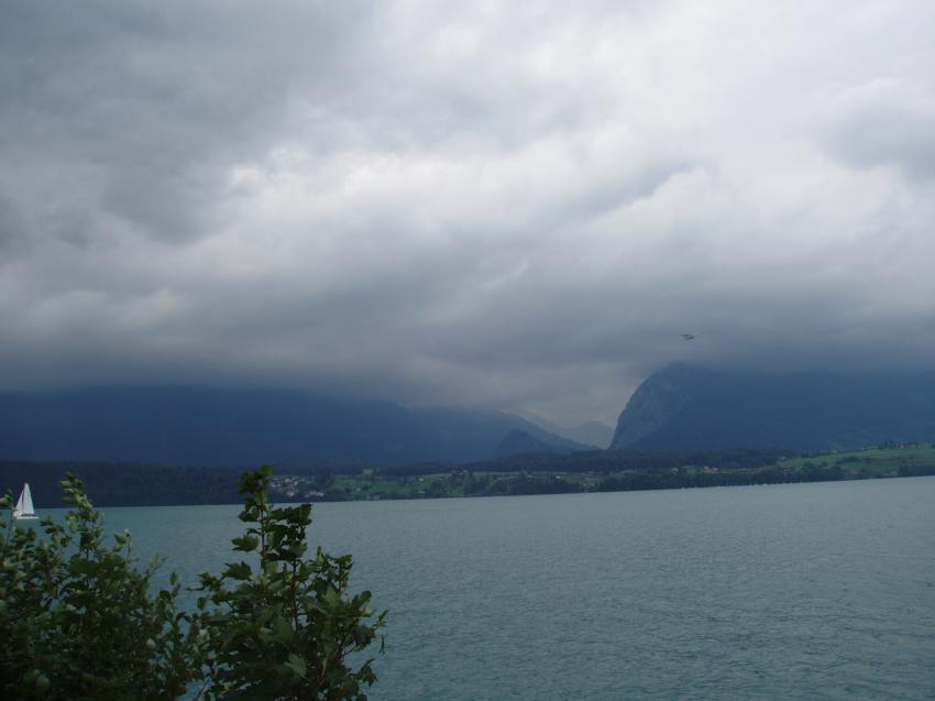 Thunersee, Thuner See,alle Tauchplaetze,Schweiz