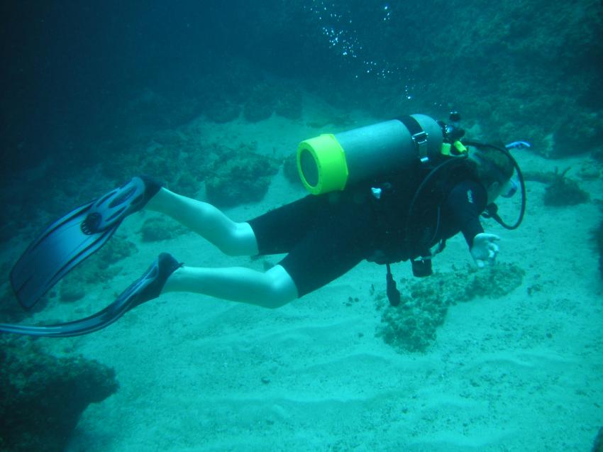 Samana/Aqua Diving center/ Viva Wyndham Samana, Samana,Dominikanische Republik