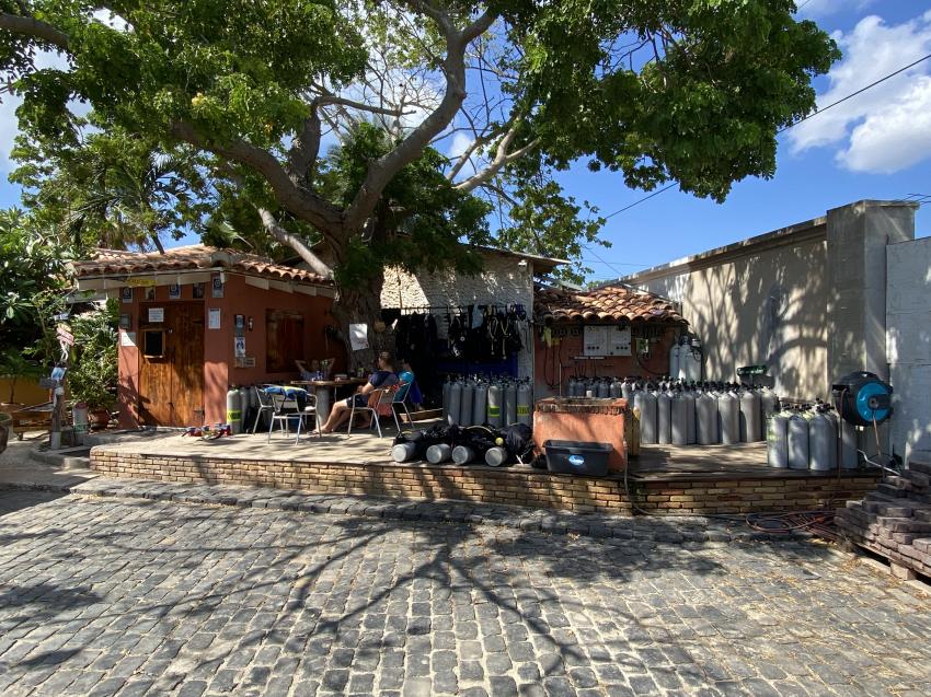 Curacao Divers (Sun Reef Village), Sint Michiel, Niederländische Antillen, Curaçao