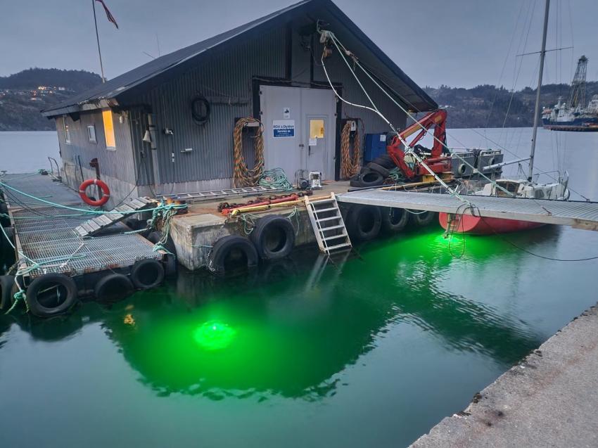 Schwimmende Basis in Agnefest mit grüner Unterwasserbeleuchtung, Dive & Stay Norway, Lyngdal, Rosfjord, Unterwasserlicht, Tauchbasis, Dive & Stay Norway – Lyngdal Dykkesenter, Norwegen