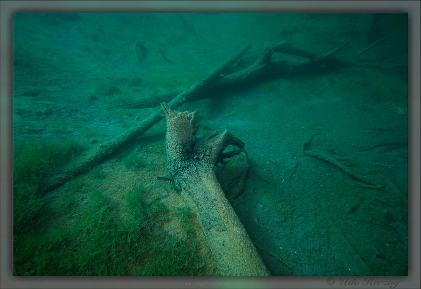 Blindsee - Steilwand, Bäume, Fische, Taucher, Blindsee,Lermoos,Österreich