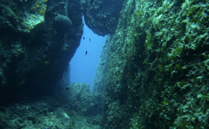 DivePoint Gouves, Kreta, Griechenland