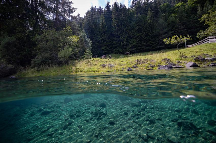 Fernsteinsee / Sameranger See, Österreich