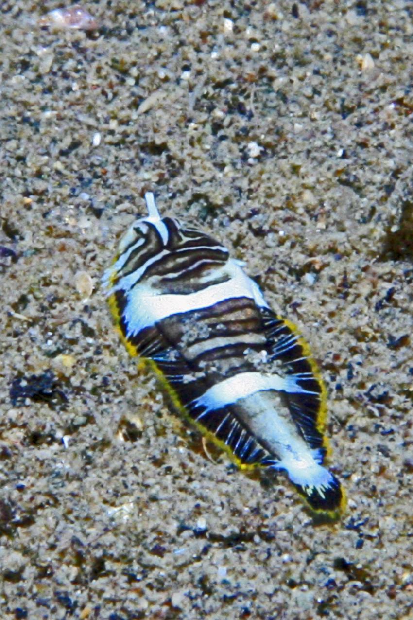 Bunaken Marine Park