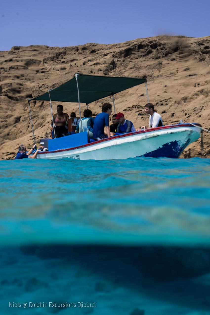 Dolphin Excursions Djibouti, Dolphin Excursions Djibouti, Dolphin Excursions, Dschibuti