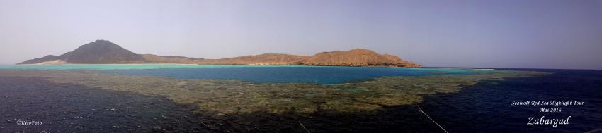 Zabargad Island, Seawolf Diving Safari Felo Highlight Tour, M/Y Seawolf Felo, Ägypten