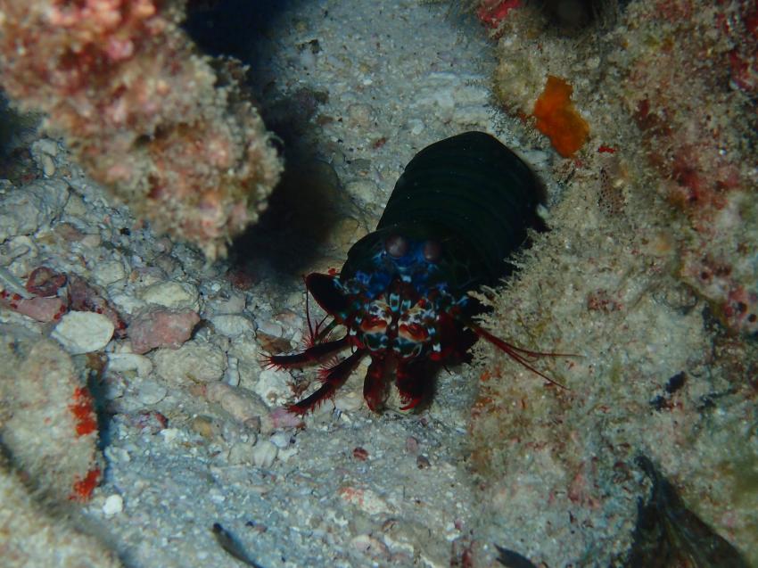 SY Sea Bird, Seychellen