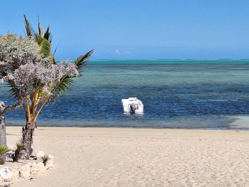 Anakao, Il Cameleonte, Madagaskar