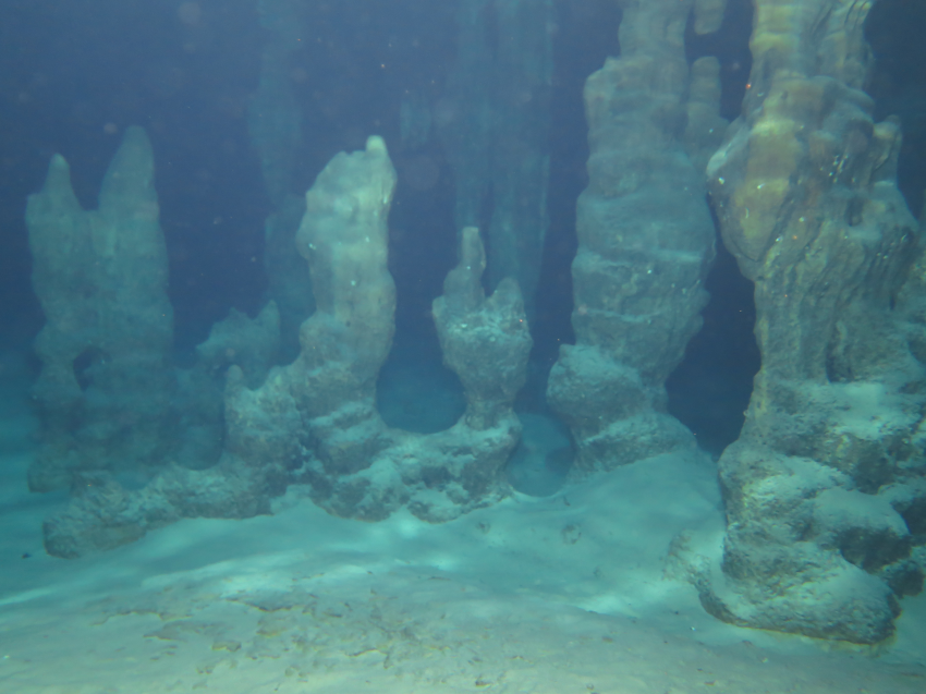 Stalagmites , Evelin Divers, Rethymon - Kreta, Griechenland