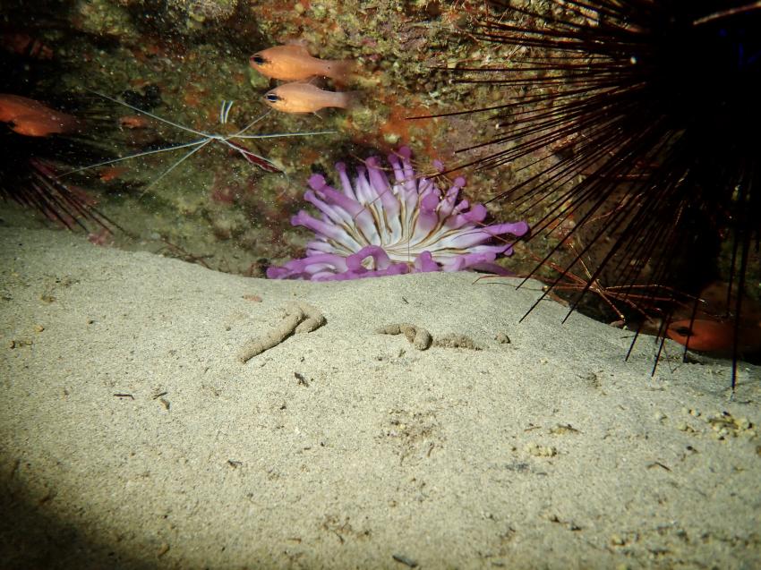 Fuerteventura Buceo Diving Center,  Jandia, Spanien, Kanaren (Kanarische Inseln)