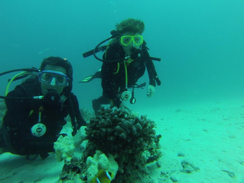 Annette & Robby RedSea-Divers, Zahabia Beach, Ägypten, Hurghada