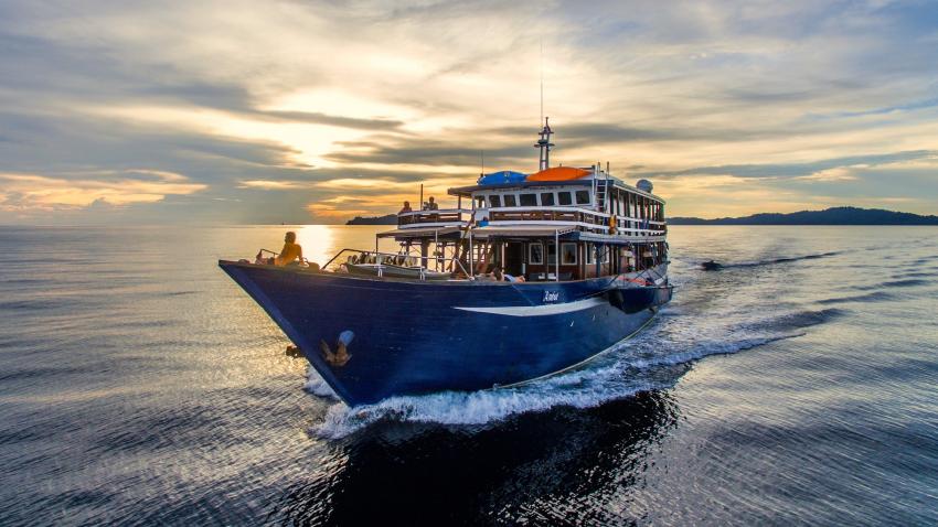 MV Ambai Liveaboard | Wallacea Dive Cruise, Tauchreisen tauchen Raja Ampat, M/V Ambai, Indonesien, Allgemein