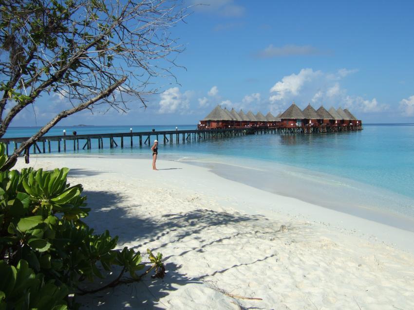 Angaga / Ari Atoll, Angaga / Ari Atoll,Malediven,Strand,Insel,Palmen