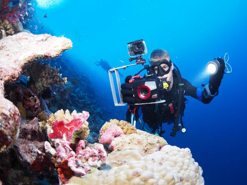 UNDERWATER PHOTOGRAPHY COURSES, #DIVEWITHFREINDS #fuvahmulah #divepointfuvahmulah #tigersharkparadise #tigerhai #malediven #tauchenmalediven, DivePoint Fuvahmulah, Malediven