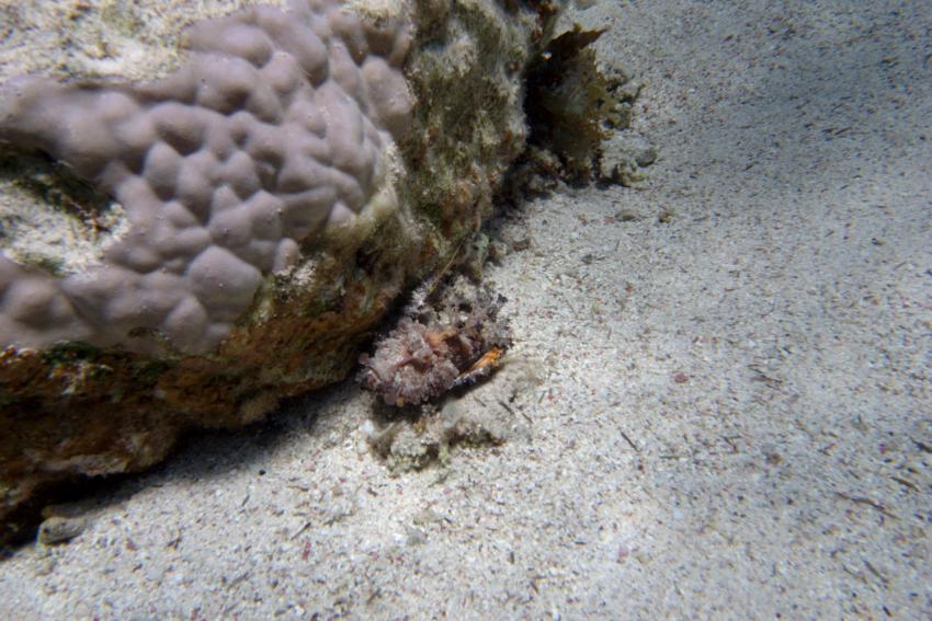 Big Blue Mashraba, Dahab, Ägypten, Sinai-Nord ab Dahab