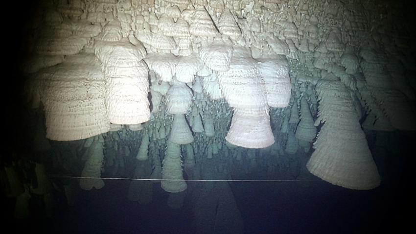 Diving Caves, Playa del Carmen, Mexiko